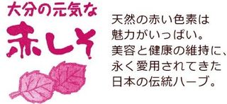 赤シソ ジュース 希釈タイプ 加糖 無農薬栽培 大分産 紫蘇 （しそ）使用 900ml 2本 ノーブランドのサムネイル画像 3枚目