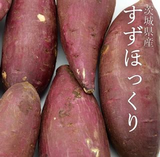 《EM栽培》茨城県産 さつまいも すずほっくり 約5kg (サイズおまかせ S～L)の画像 1枚目