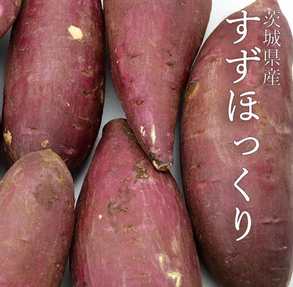 《EM栽培》茨城県産 さつまいも すずほっくり 約5kg (サイズおまかせ S～L)の画像