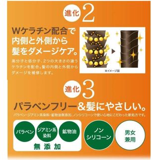 Mottoボタニカラートリートメント ポンプ式 株式会社コジットのサムネイル画像 3枚目