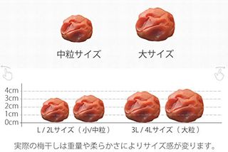  紀州梅香 特別な無添加 減塩梅干し (中粒500g) の画像 3枚目