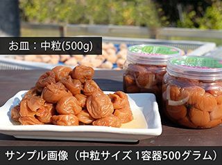  紀州梅香 特別な無添加 減塩梅干し (中粒500g) の画像 2枚目