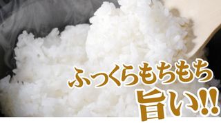 北海道産 藤澤さんのゆめぴりか 5kgの画像 1枚目