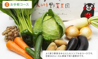 元気野菜くらぶお手軽（S）コース10品目 九州野菜王国のサムネイル画像 1枚目