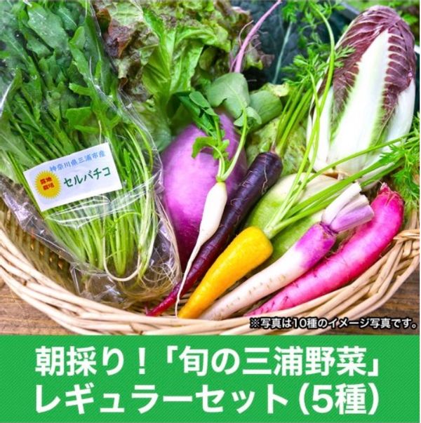 朝採り！「旬の三浦野菜」レギュラーセット【通常5種類前後】の画像