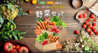 【1回便】野菜セット レギュラーサイズ（11品目） はにーびーのサムネイル画像 1枚目