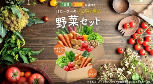 【1回便】野菜セット レギュラーサイズ（11品目）の画像
