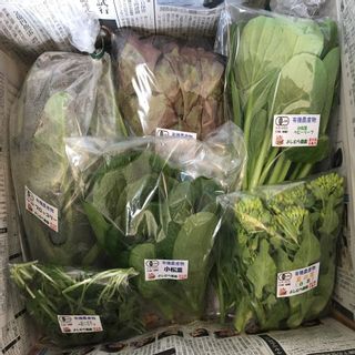 香川産 有機野菜セット ライトコース 7~8品 よしむら農園のサムネイル画像 2枚目