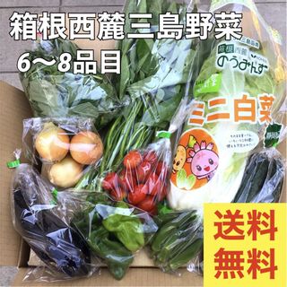 箱根西麓三島野菜 詰め合わせセット　の画像 1枚目