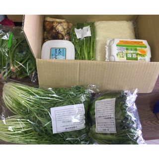 無農薬・減農薬　 京野菜 丹波産旬の野菜・新米・産品詰め合わせセット みなと屋のサムネイル画像 2枚目