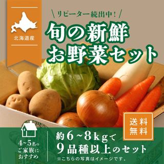 北海道産 野菜セット 旬の新鮮お野菜詰め合わせ 9品種以上  North on Tableのサムネイル画像 1枚目