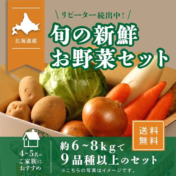 北海道産 野菜セット 旬の新鮮お野菜詰め合わせ 9品種以上 の画像