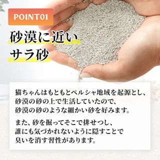 RAGDOLLプレミアムサンド(5kg×2) クニミネマーケティング株式会社のサムネイル画像 4枚目