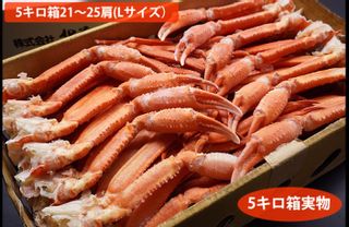 北海道江差産紅ズワイガニ足5キロ箱(Lサイズ21-25肩) 鮮・彩くらぶのサムネイル画像 1枚目