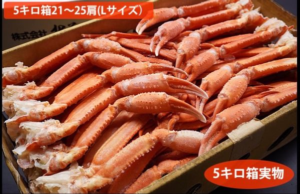 北海道江差産紅ズワイガニ足5キロ箱(Lサイズ21-25肩)の画像