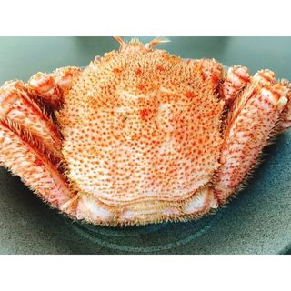 北海道産 浜茹で毛ガニ １杯約980g  北海道産ほたて専門店 小林正男商店のサムネイル画像