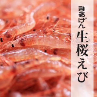 生桜エビ200g  株式会社まるげんのサムネイル画像 1枚目