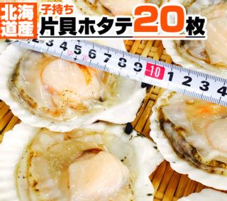 北海道産 片貝ホタテ 20枚 進風水産 ウオスのサムネイル画像 1枚目