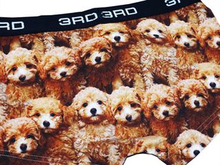 toy poodles 3RDWARE(サードウェア)のサムネイル画像 4枚目