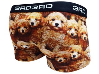 toy poodlesの画像 1枚目