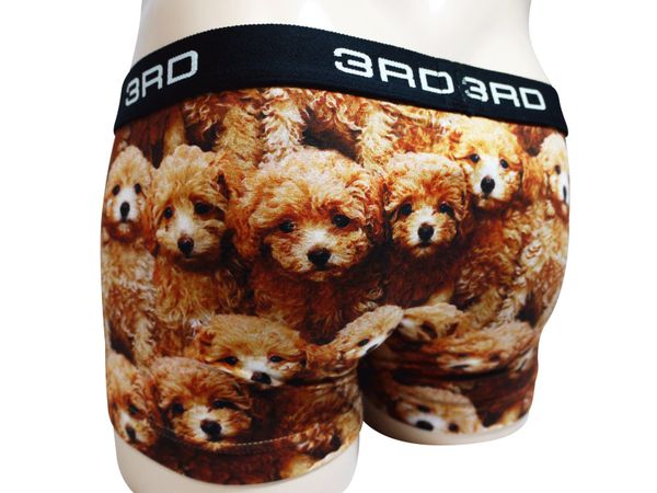 toy poodles 3RDWARE(サードウェア)のサムネイル画像 2枚目