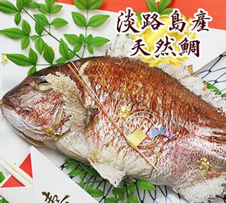 お食い初め 鯛 800g 魚幸のサムネイル画像 1枚目