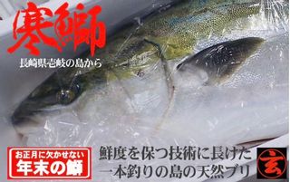 壱岐島玄界灘天然寒ブリ4㎏前後　そのまま1本 壱岐島玄界屋のサムネイル画像 1枚目