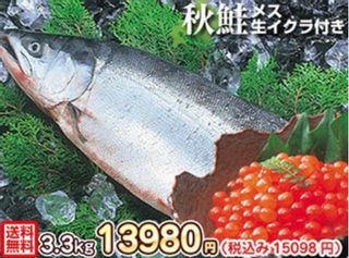 生秋鮭 3.3kg メス・生イクラ(筋子)入り!(北海道産) 株式会社 共栄水産のサムネイル画像