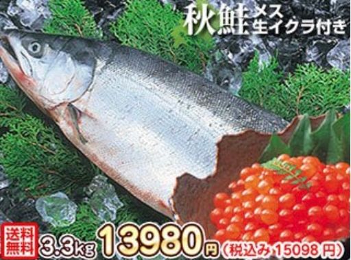 生秋鮭 3.3kg メス・生イクラ(筋子)入り!(北海道産) 株式会社 共栄水産のサムネイル画像 1枚目