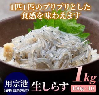 用宗港（静岡県駿河湾）生しらす　1kg（100g×10） 静岡産直どっとこむのサムネイル画像