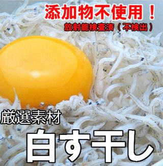  冷凍しらす干し 化粧箱入り500g 魚政水産のサムネイル画像 1枚目