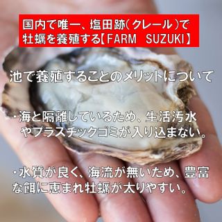 塩田熟成牡蠣フライ（4箱） ファームスズキのサムネイル画像