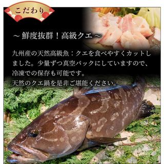 高級クエ鍋セット（3人前） 福岡魚市場のサムネイル画像 3枚目