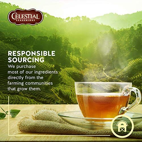 セレッシャル ベンガルスパイス 20個 CELESTIAL SEASONINGS （セレッシャルシーズニング）のサムネイル画像 2枚目