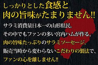 サラミ プレミアム 宮内ハムのサムネイル画像 2枚目