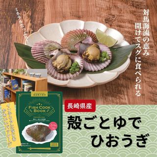 FISH COOK BOOK　殻ごとゆで　ひおうぎ貝の画像 2枚目