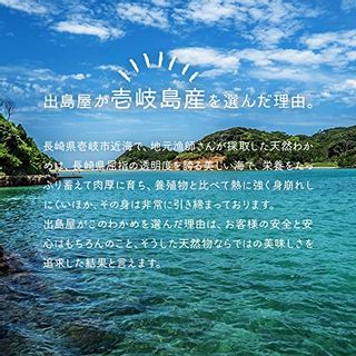 長崎県産　カットわかめ 本尾海産のサムネイル画像 2枚目