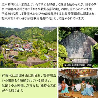 本わさび中サイズ3本＆さめ吉（ミニ）セット マルマサ山葵農園のサムネイル画像 3枚目