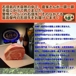 石垣牛ハンバーグ 沖縄ちゅら企画のサムネイル画像 3枚目