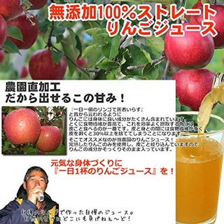 ストレートりんごジュース 1000ml 1L 6本入り の画像 2枚目