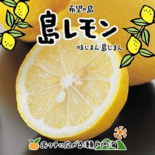 希望の島 国産レモン 3kg 希望の島のサムネイル画像 1枚目