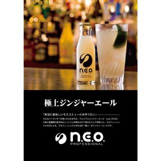 n.e.oプレミアムジンジャーエール 95ml×24本  株式会社友桝飲料のサムネイル画像 2枚目