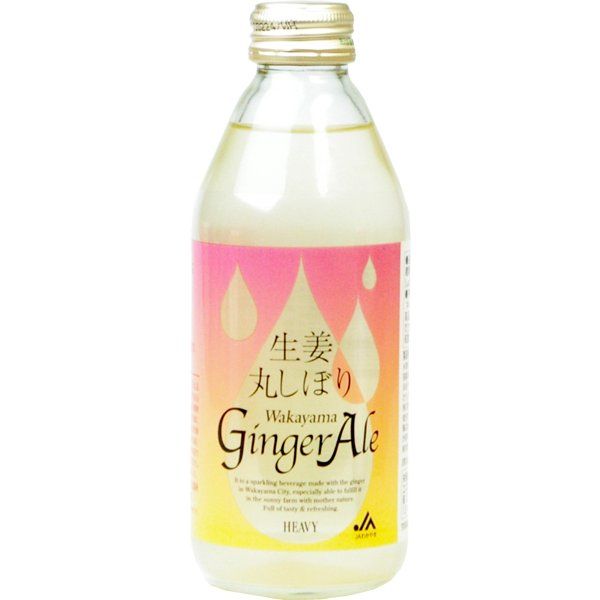 生姜丸しぼり Wakayama Ginger Ale　250ml×24本の画像