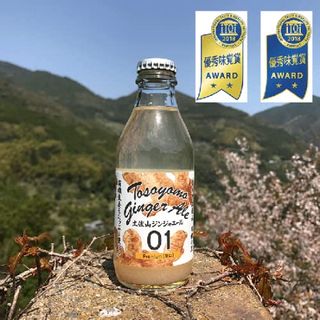 土佐山ジンジャーエール 01 プレミアム　200ml×20本 一般財団法人夢産地とさやま開発公社のサムネイル画像