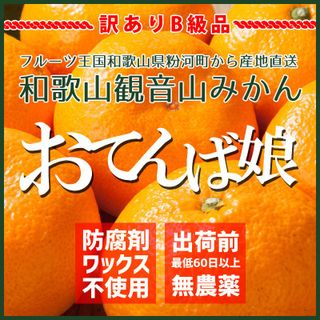 観音山みかん おてんば娘 訳ありB級品 ご家庭用 3kg 観音山フルーツガーデンのサムネイル画像