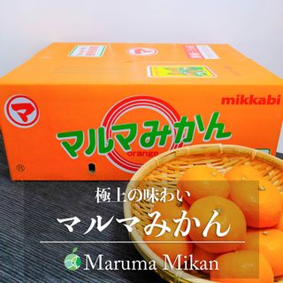 マルマみかん　みかん　赤秀　L　5kg ファーム大澤屋のサムネイル画像