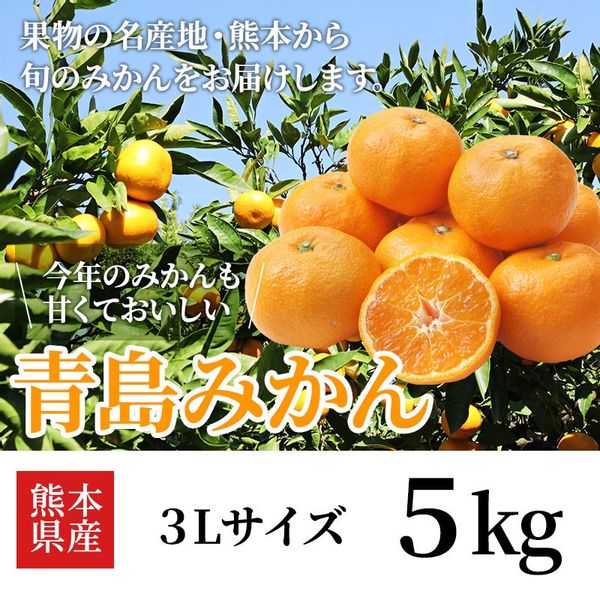 熊本産　青島みかん5kg（3Lサイズ）の画像