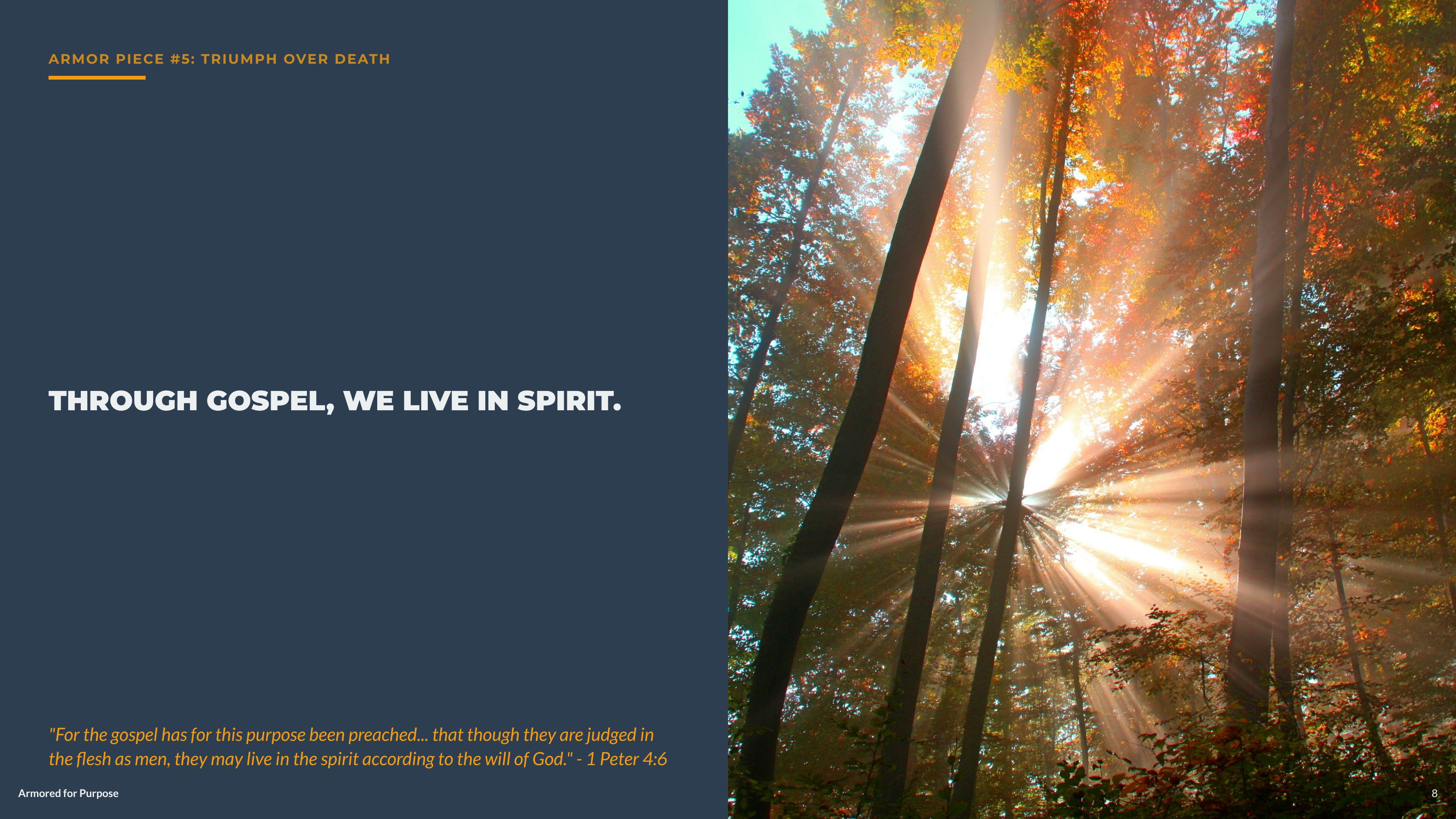 Suffering sermon presentation slides - Slide 9