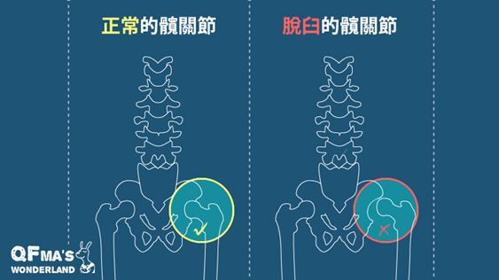 安琪 安琪Beco雙子星寶寶背巾