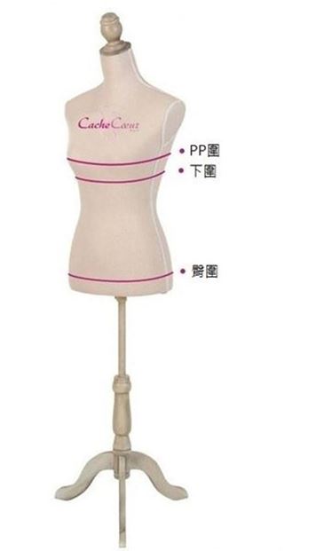 凱莎爾夢幻款哺乳內衣 凱莎爾夢幻款哺乳內衣
